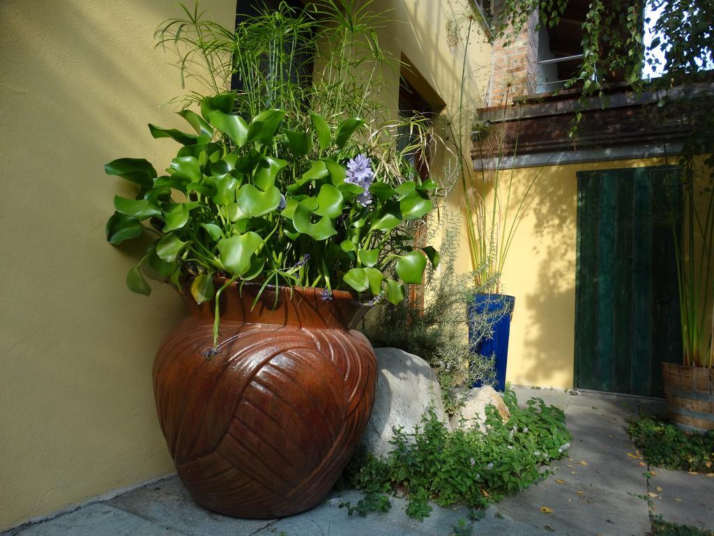 Agriturismo Casa De Colores Moretta Exterior foto